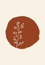 Bloom-wildflower