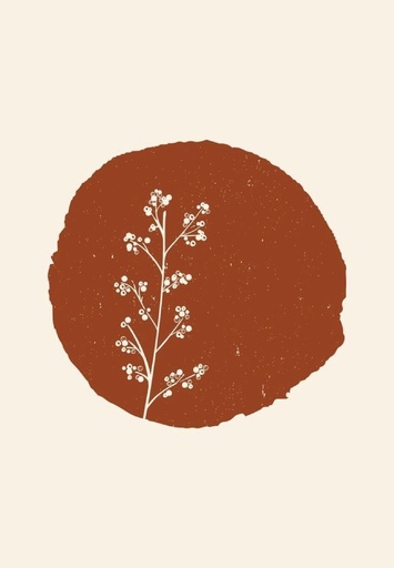 Bloom-wildflower